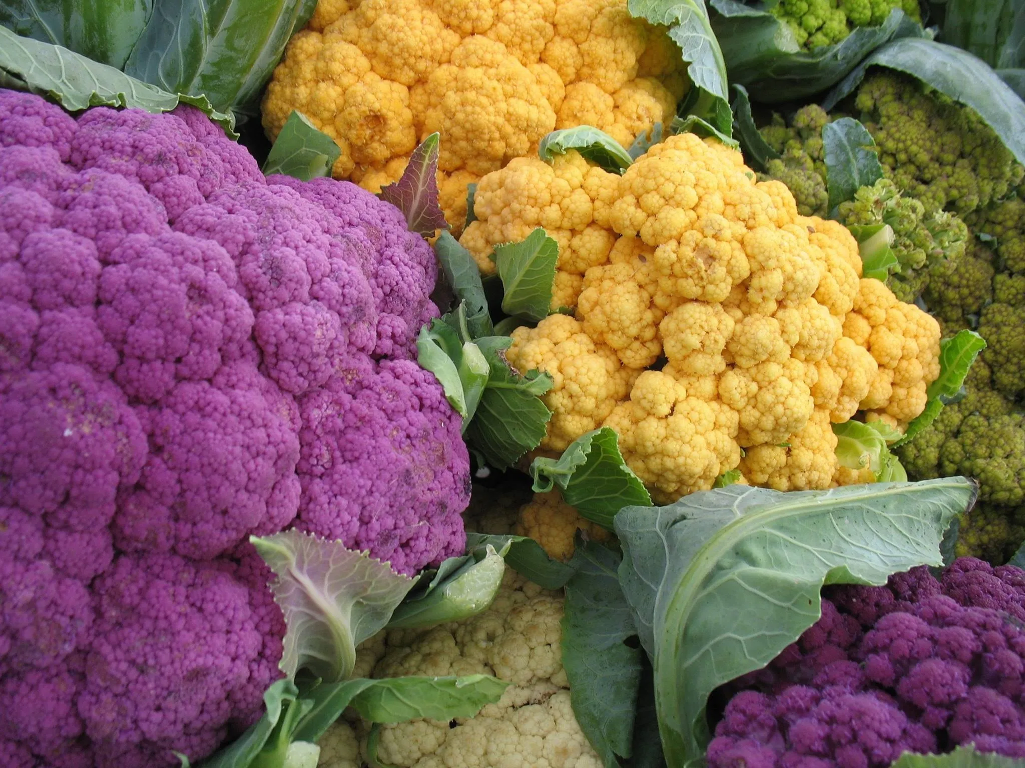 Purple, orange and romanesco cauliflower heads packed together on a market table.